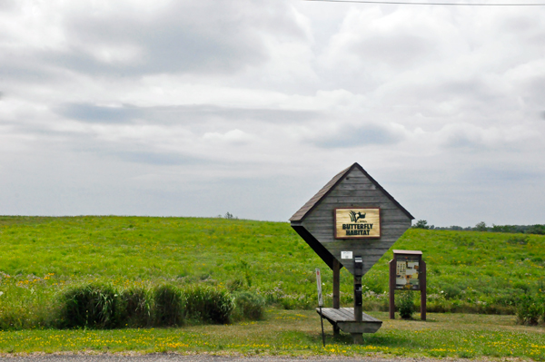 Butterfly Habitat sign